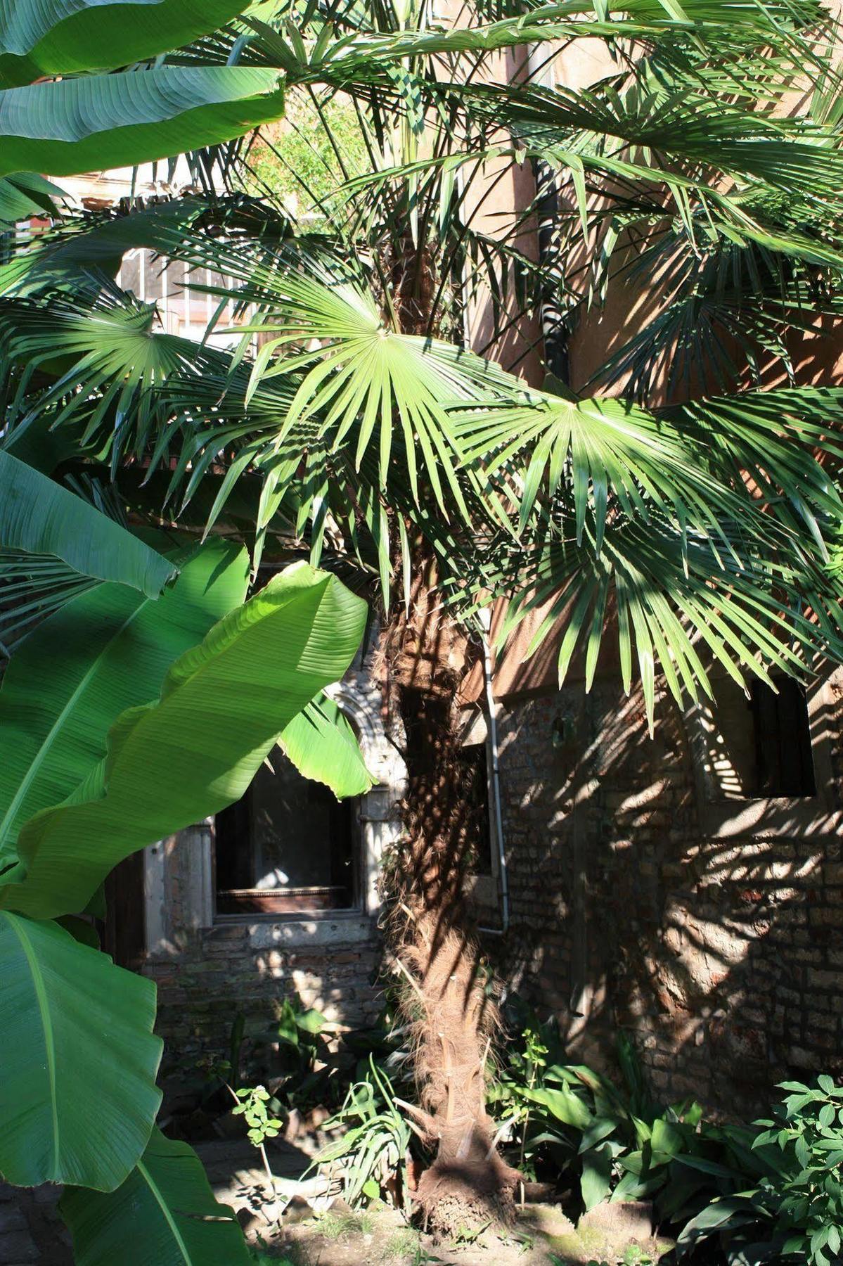 Appartamento Garden Ca' Rezzonico Venice Exterior photo